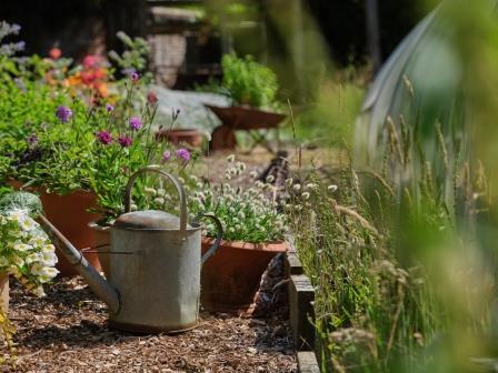 The walled kitchen garden - the perfect place to forage